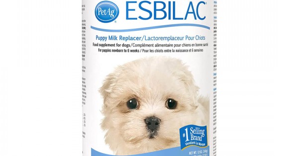Petag milk replacer for puppies discount